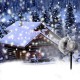 Lauko lazeris L33W | Kalėdinis lauko lazeris | Sniego efektas